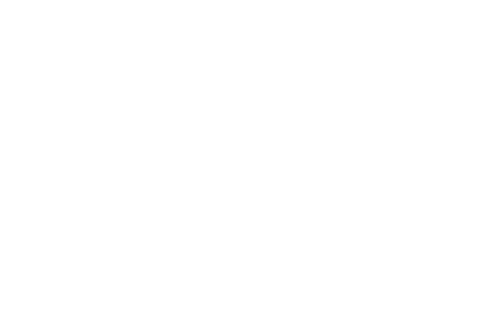 L'alibi