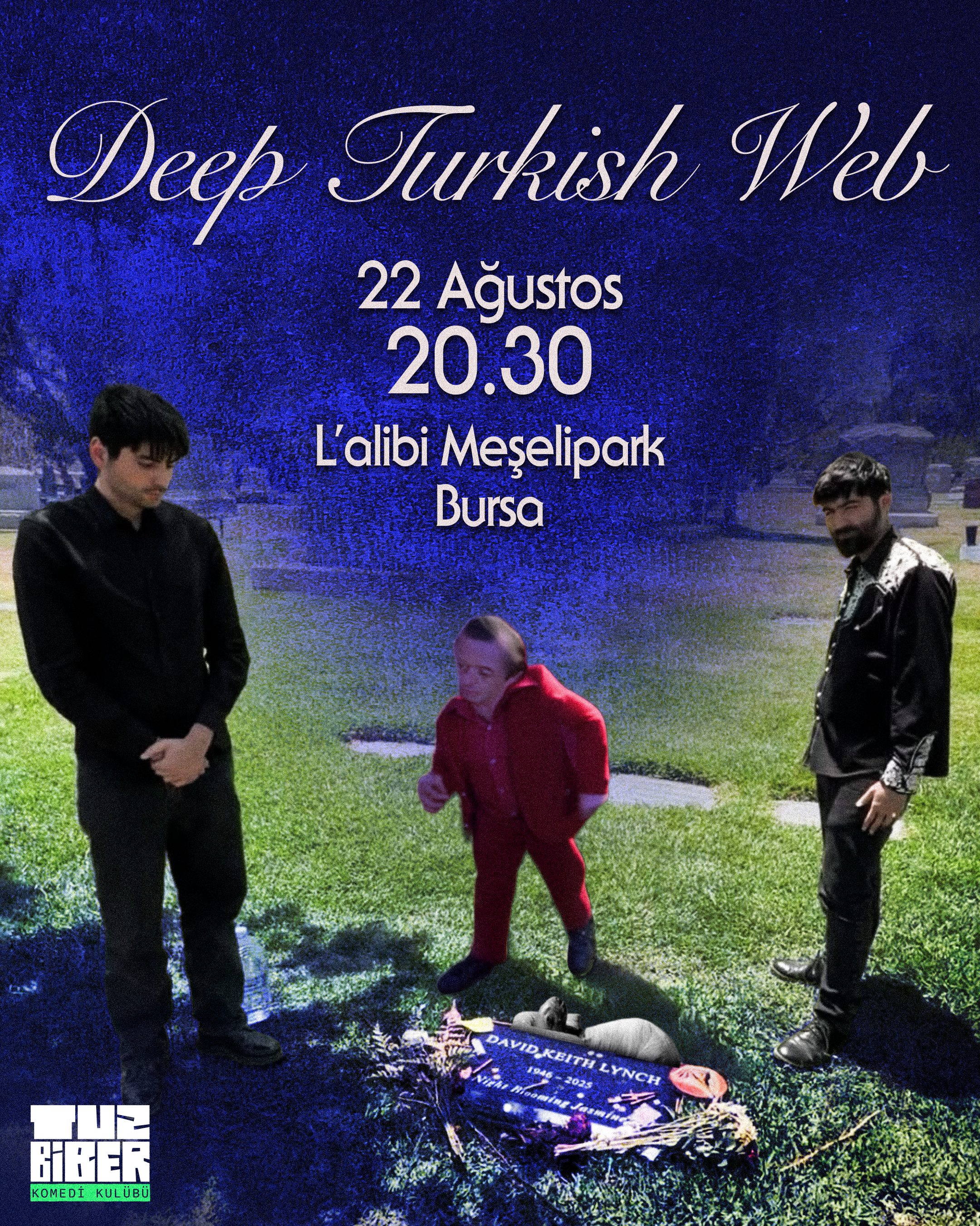 Deep Turkish Web